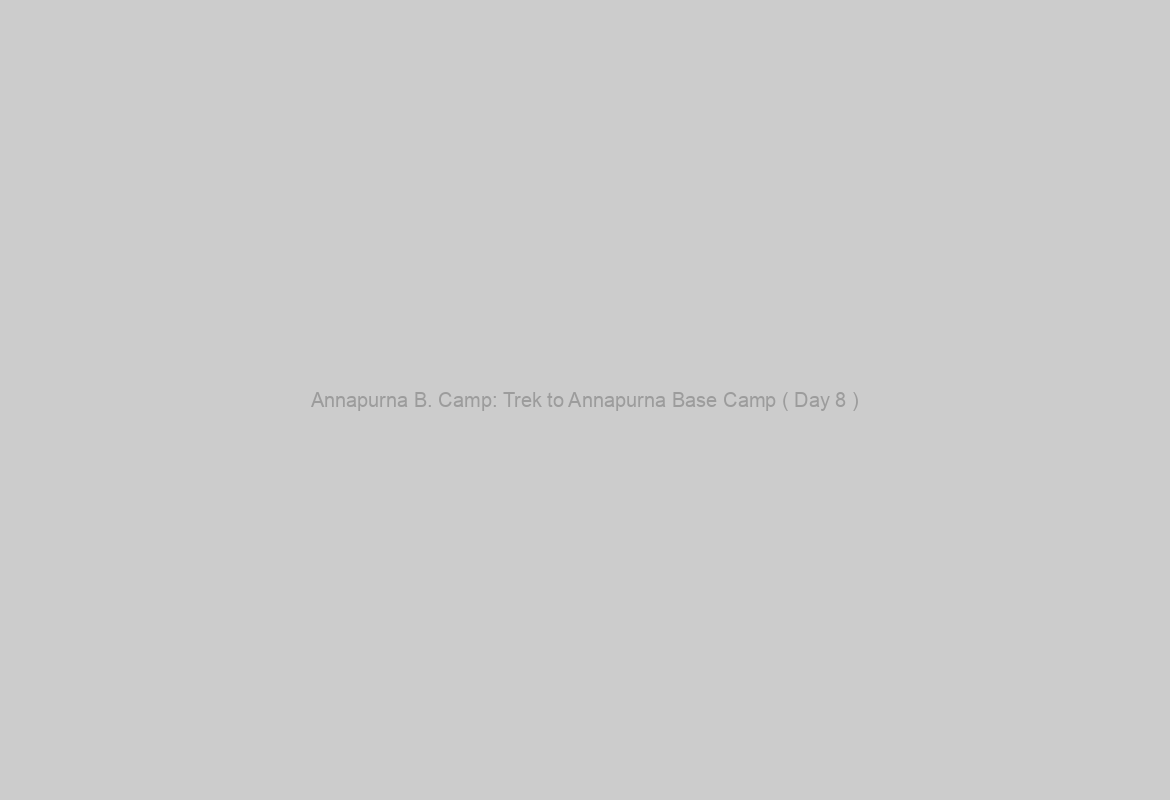 Annapurna B. Camp: Trek to Annapurna Base Camp ( Day 8 )